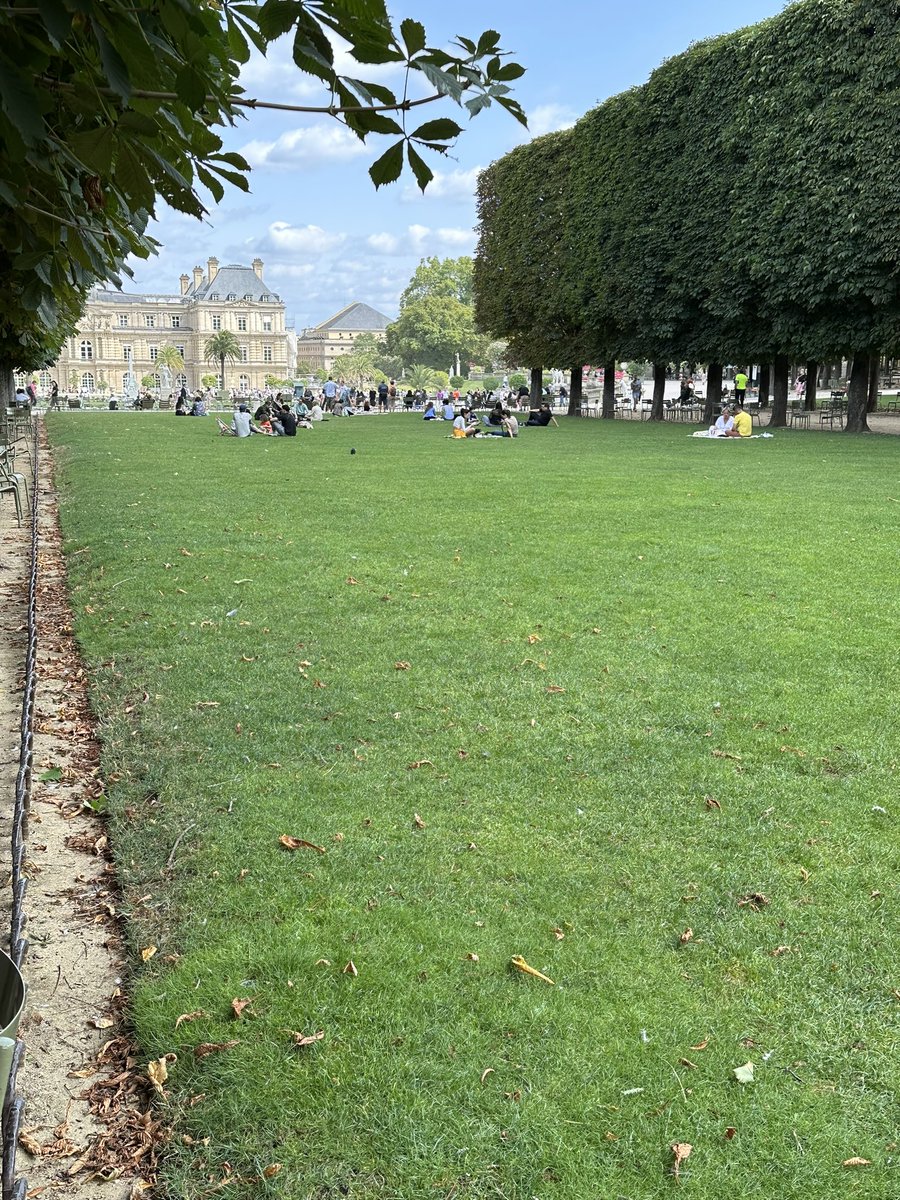 EricKLein_'s tweet photo. Ces deux photos ont été prises ce matin. Paris n’a pas connu d’épisode de canicule cet été et seulement 300 mètres séparent ces deux jardins du VIème arrondissement. L’un est « entretenu »  par #AnneHidalgo, l’autre par le Sénat. Sauras deviner lequel est lequel ?
#saccageparis https://t.co/mdUWxIcHwR