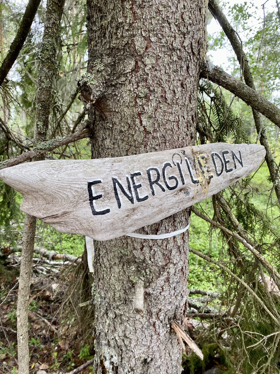 gnildron24's tweet photo. Skönt med promenad runt energileden. #frevisören #energileden #skogsbad #skogspromenad #goldendoodle #kalix #norrbotten #sommar https://t.co/UV0NEIxGgx