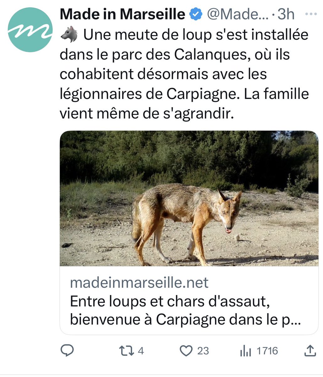 Jean-Marie Vailloud tweet media