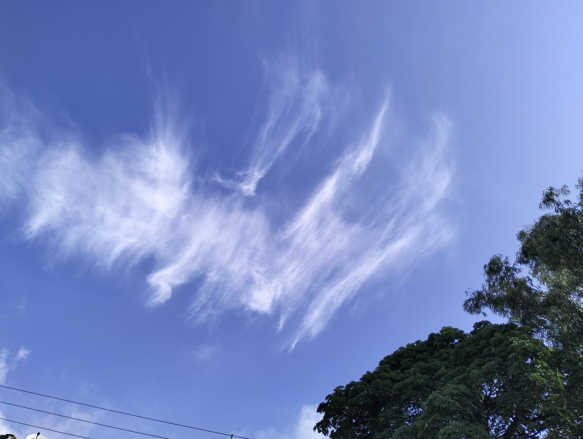 TheLostMoon95's tweet image. #clouds #sky #forJK