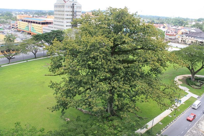 KuchingBorneo on Twitter: