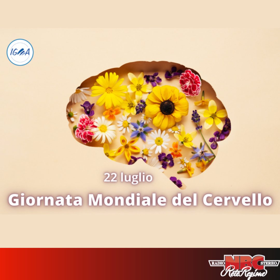 NBCreteregione's tweet photo. Il 22 luglio si celebra la giornata mondiale del cervello. E' fondamentale che le persone si mantengano attive mentalmente: viaggiando, impegnandosi in un hobby creativo, in passatempi enigmistici o in uno strumento musicale. #radionbc #alpinotizie #cervello https://t.co/0IhDBUZQlB