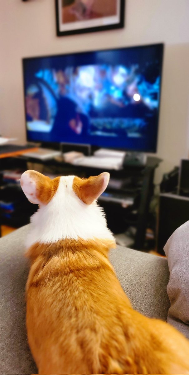 Corgi_Lovers0's tweet image. Watching Marvel movies with mum.😆
#CorgiCrew #Corgi #CorgiLover #corgilovers #Dodgers #deprem #famemma
