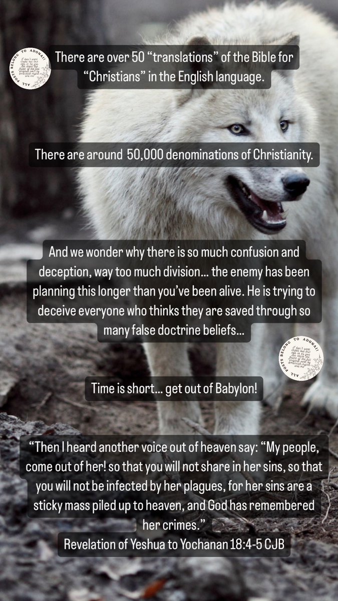 ancientpath77's tweet image. 