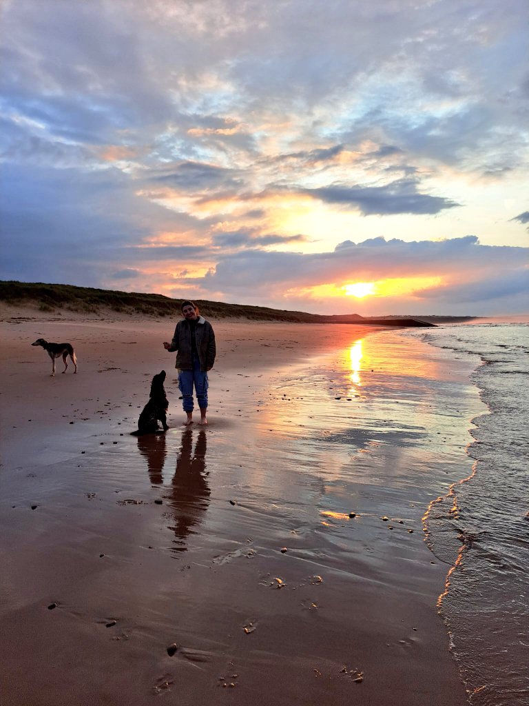 Melissa Sert tweet media