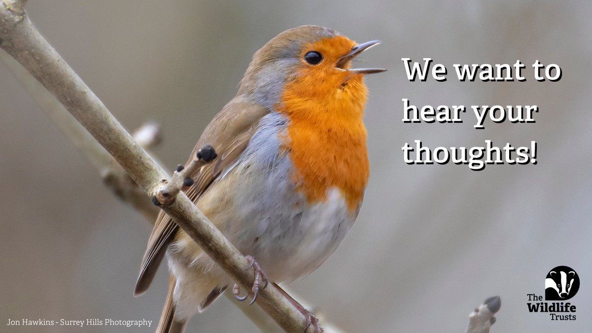 We're asking some of natures most important questions and we need your help! By answering, you could help us to review our work and allow us to develop further to take important action for nature.  wildlifetrusts.org/great-big-natu…