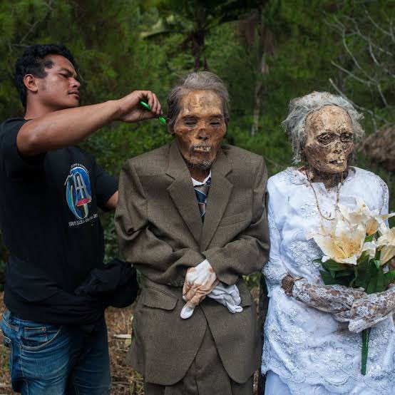 Lencyclopediste's tweet photo. En Indonésie, il y a une tribu qui déterre leurs proches décédés une fois par an pour les habiller et faire la fête avec eux lors d'une célébration annuelle de leur vie. https://t.co/zefmoT55Q1