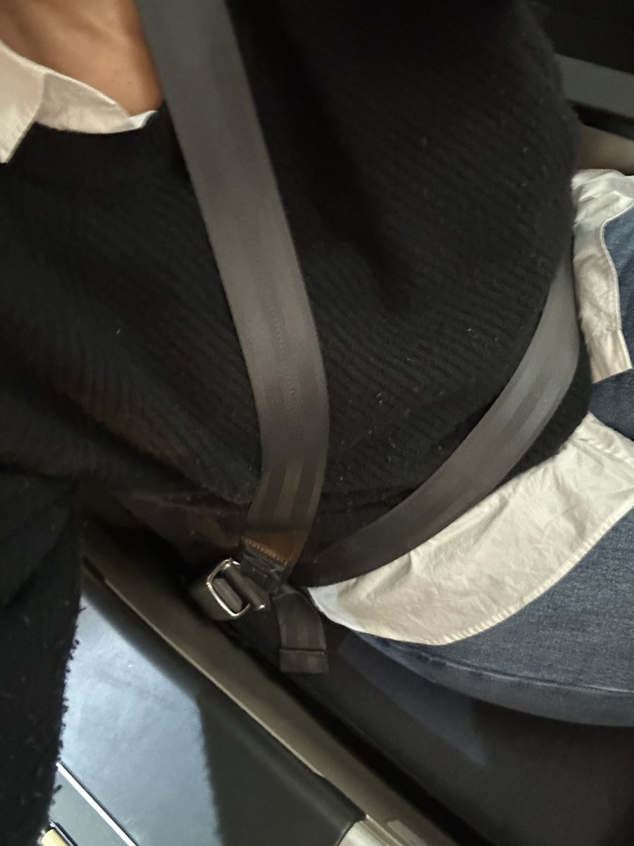 jennatilemile's tweet photo. asking for a lot of friends. why, in business do I get an extra seatbelt? shouldn’t we all get this? are we going to titanic soon and look back and be like oh shit we should have given EVERYONE real seatbelts? 🧚🏽‍♀️ mwah xoxo https://t.co/CTTi8ou7C8