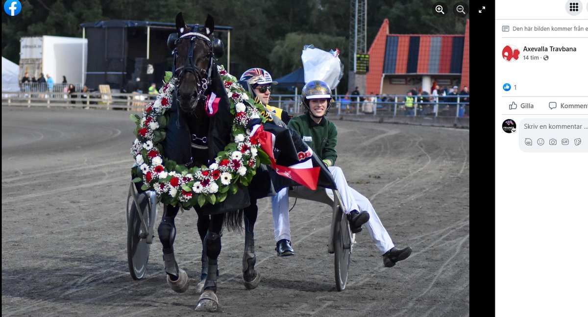 France Trotting AB (@hingstdepan) on Twitter photo READY CASH: <a href="/HarasBouttemont/">Haras de Bouttemont</a>
LUCA VIALLI BOKO🇸🇪🥇won Axevalla Maraton (4140 m) with the driver Mats E Djuse👊👊
Ready Cash info: francois@francetrotting.com📞 +46(0)722218270 READY CASH: <a href="/HarasBouttemont/">Haras de Bouttemont</a>
LUCA VIALLI BOKO🇸🇪🥇won Axevalla Maraton (4140 m) with the driver Mats E Djuse👊👊
Ready Cash info: francois@francetrotting.com📞 +46(0)722218270