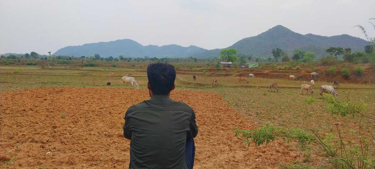 pradeepmahato77's tweet photo. धनबाद जिला को सुखा घोषित कर दो साहेब.., अब तो उप्पर वाले से भी इस वर्ष खेती की उम्मीदें टूट चुका है.., बस महोदय @HemantSorenJMM , @Badal_Patralekh , @ChampaiSoren @dc_dhanbad जी आप ही हम गरीब किसानों के उम्मीद और आश हो..।
🙏🌾🌾जोहार🌾🌾🙏 https://t.co/GKhAWkDqce