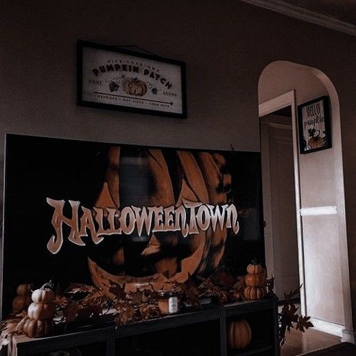 thespookygirll's tweet photo. weekend plans https://t.co/PaSPSdm41N