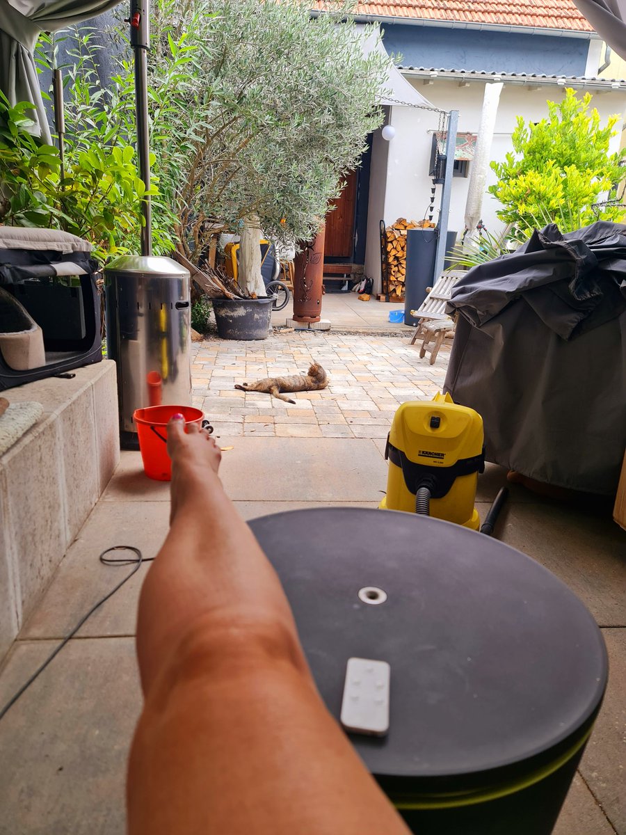 Charlie_denkt's tweet photo. #Putzpause 🥰 https://t.co/SClwEqQtmL