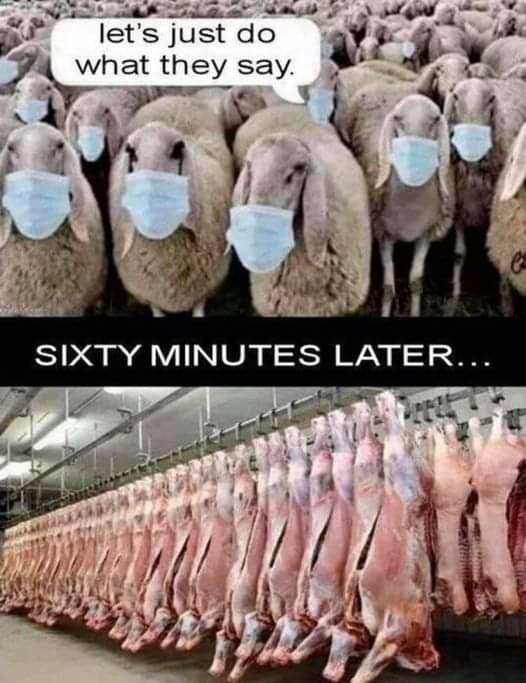 hackerbot (@thehackerb0t) on Twitter photo 