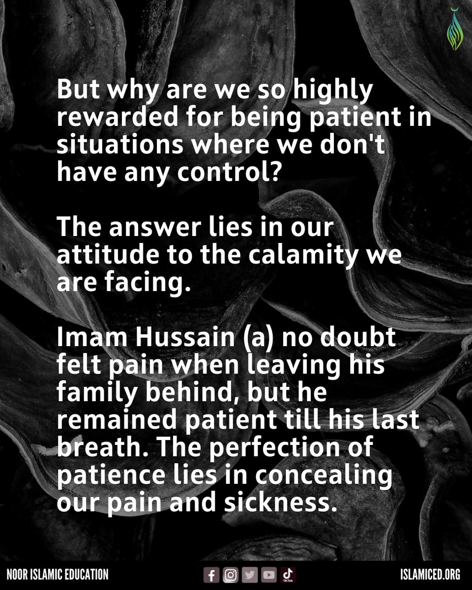 NoorIslamicEd's tweet image. Muharram Lesson 3: Patience ⁠
⁠⁠
#MuharramLessons #Patience #EnduringAdversity #StrengthThroughPatience #Muharram2023
