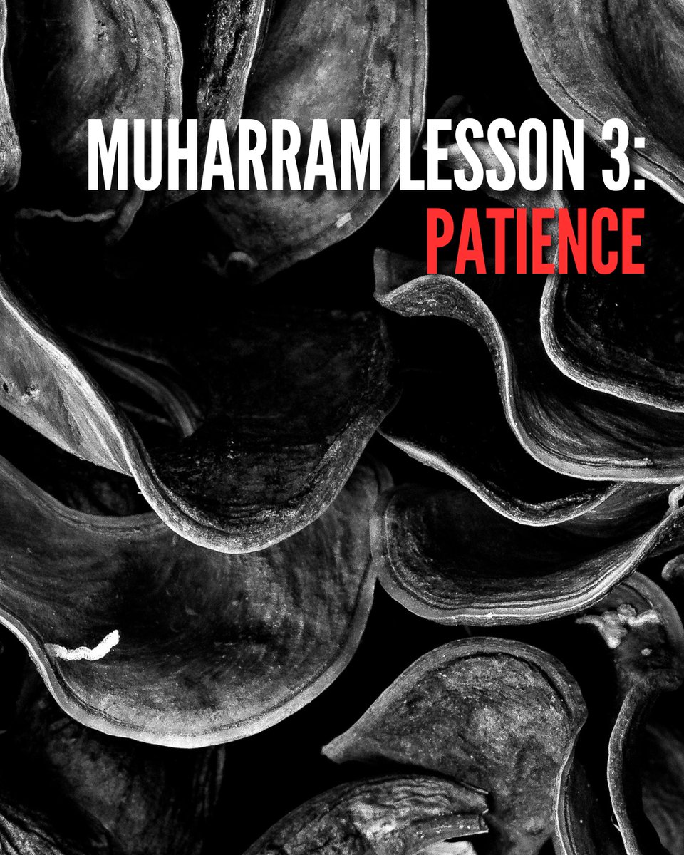 NoorIslamicEd's tweet image. Muharram Lesson 3: Patience ⁠
⁠⁠
#MuharramLessons #Patience #EnduringAdversity #StrengthThroughPatience #Muharram2023
