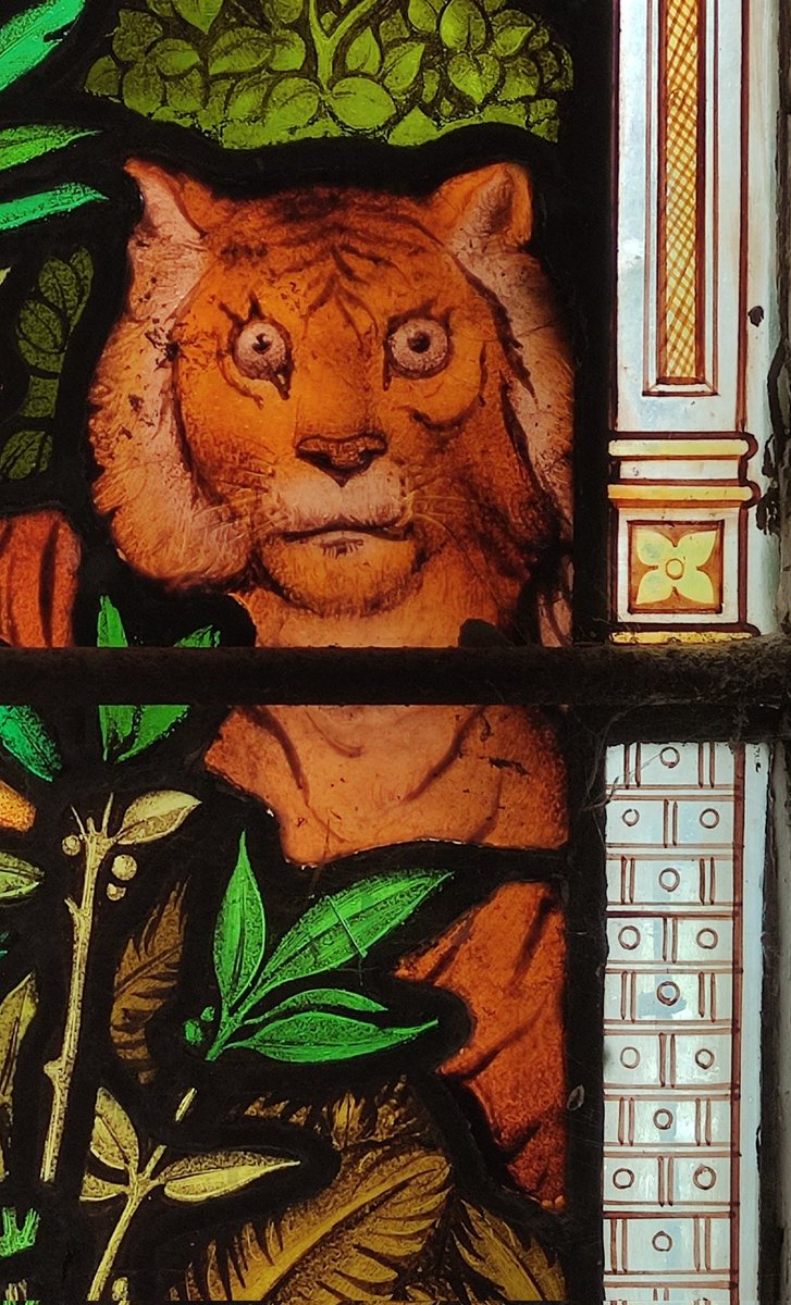 A decidedly shocked tiger at St George's, Benenden. What can have rattled him? #Caturday #Kentchurches #Animalsinchurches