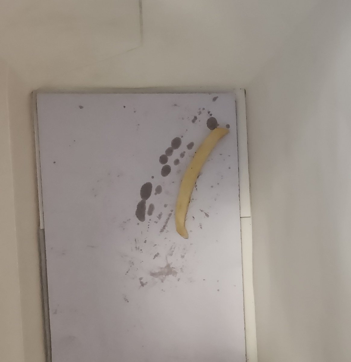 I win Best Teacher Gift 2023.
This made my day. A child gave me the bag, I pulled out the actual gift and underneath lay this additional surprise🤣 
Have a well-earned break fellow educators💝