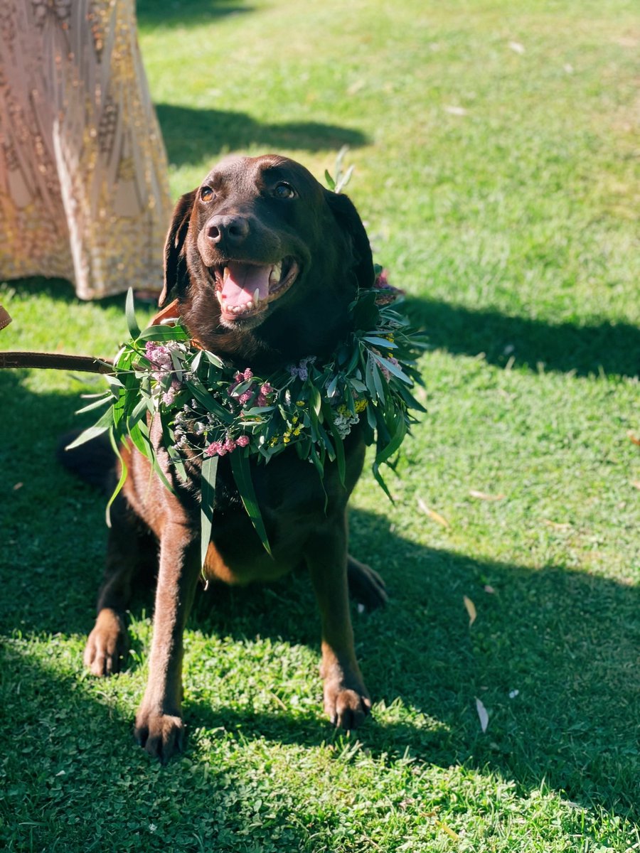 jubanyevents's tweet photo. El moment més únic en el lloc més increïble 💐🤩
#JubanyEvents #MasdOsor #love #casament #celebració https://t.co/NRXwtp03Fa
