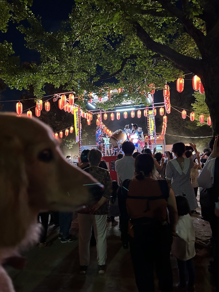 オオシマヒカル tweet media