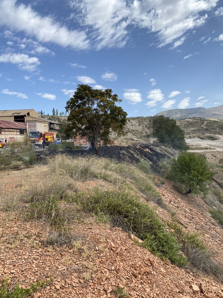 Francisco Valdivieso Gonzalez tweet media