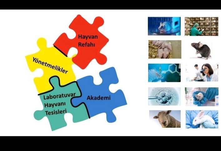 In vivo araştırmacılar🔬

13-16 Eylül 5. laboratuvar hayvanları bilimi kongresine bekliyoruz!
Bildiri gönderimi ve kayıt 👇
labbilim2023.org