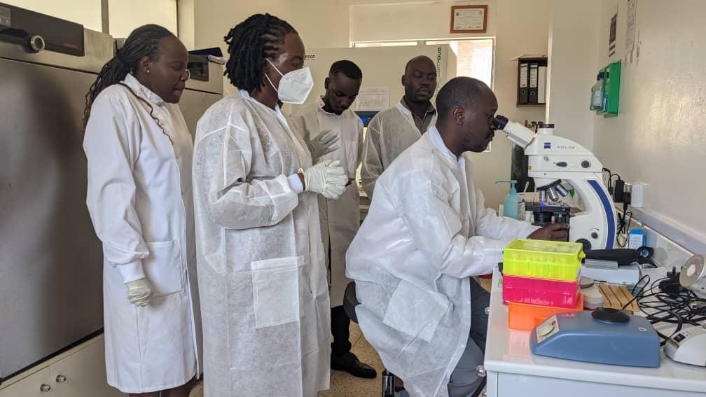 Teams from @EyeMengo, @RuharoHospital and Masaka RRH had a 1 week training at @MbararaUST Eyecentre which ended yesterday. The training equipped the attendees to carry out different microbiological tests on ocular samples to improve diagnosis of Microbial Keratitis in Uganda.