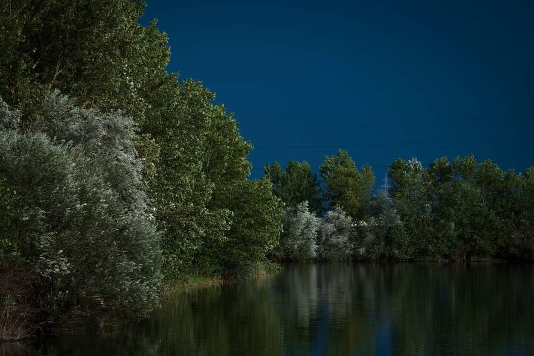 Siniša Strčić (@sinisastrcic) on Twitter photo 