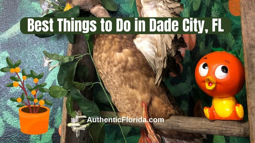 AuthenticFL's tweet photo. When it comes to old Florida destinations, we love visiting Dade City! Great food & shopping ... with lots of air-conditioners!
๐: https://t.co/eUIvI5ssTg
#DadeCity #OldFLA #AuthenticFlorida #FloridaRoadTrip https://t.co/XtIlE7MMkl