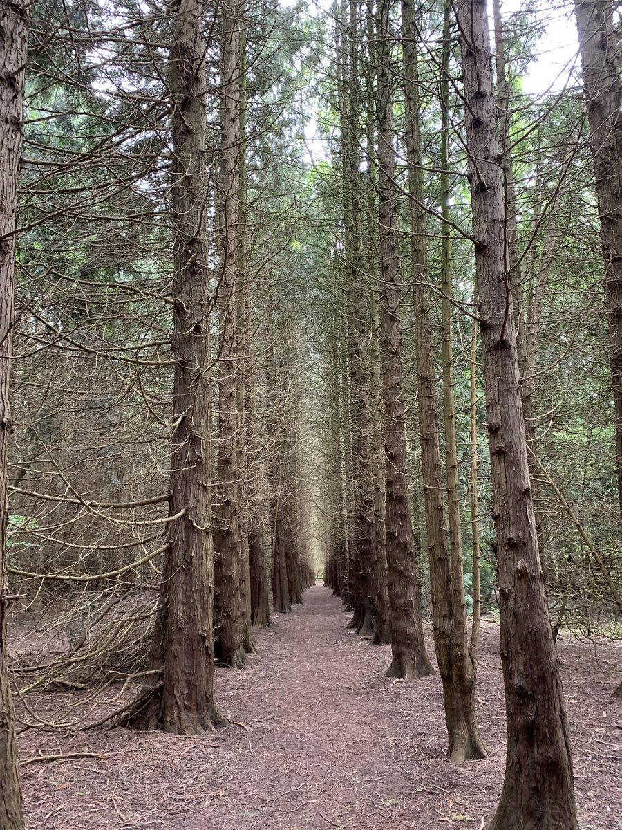 How can we find a way through when different groups shout at each other. There seems to be very little debate, active listening or recognition of nuance.

If you are treading the path of unity, empathy and compassion keep going. The world will thank you for it eventually x