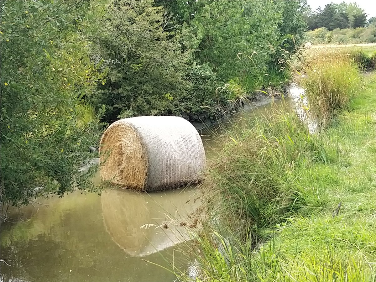 Christo324085's tweet photo. #Reflets
Photo inédite d'un #chamallow naturiste prenant son #bain
🤫 don't disturb 😀😀😀 https://t.co/b8qz3GwEgH