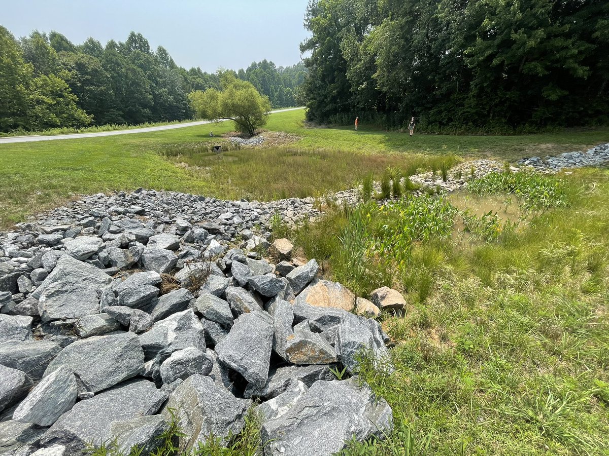 Caleb Mitchell tweet media