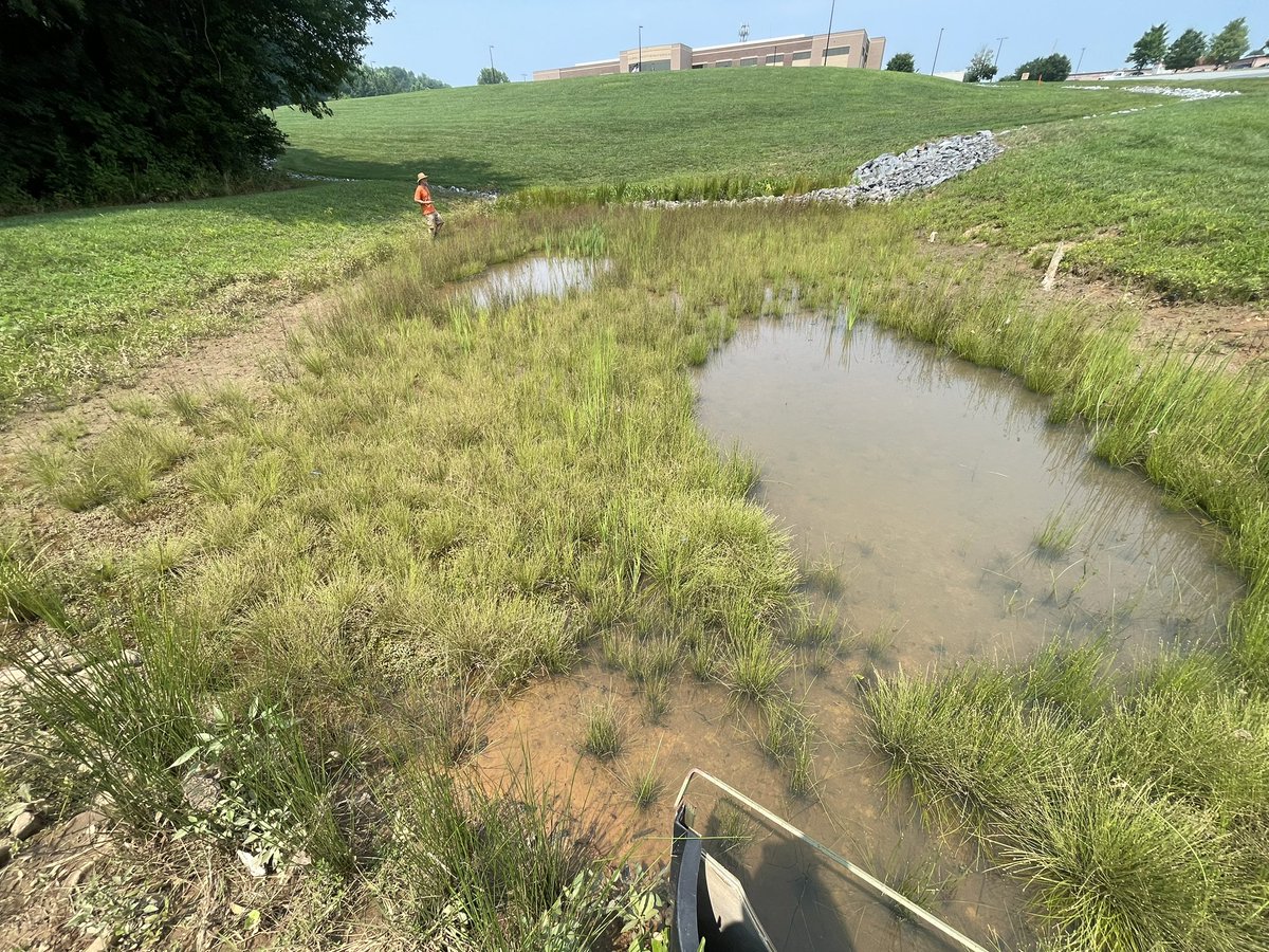 Caleb Mitchell tweet media