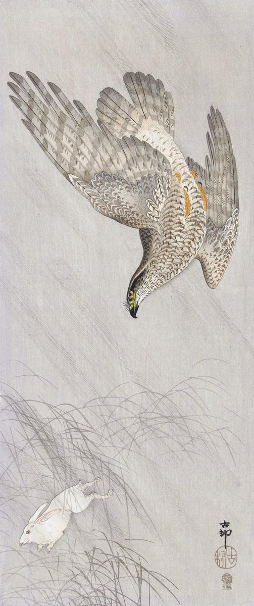 小原古邨  Ohara Koson  ca.1910