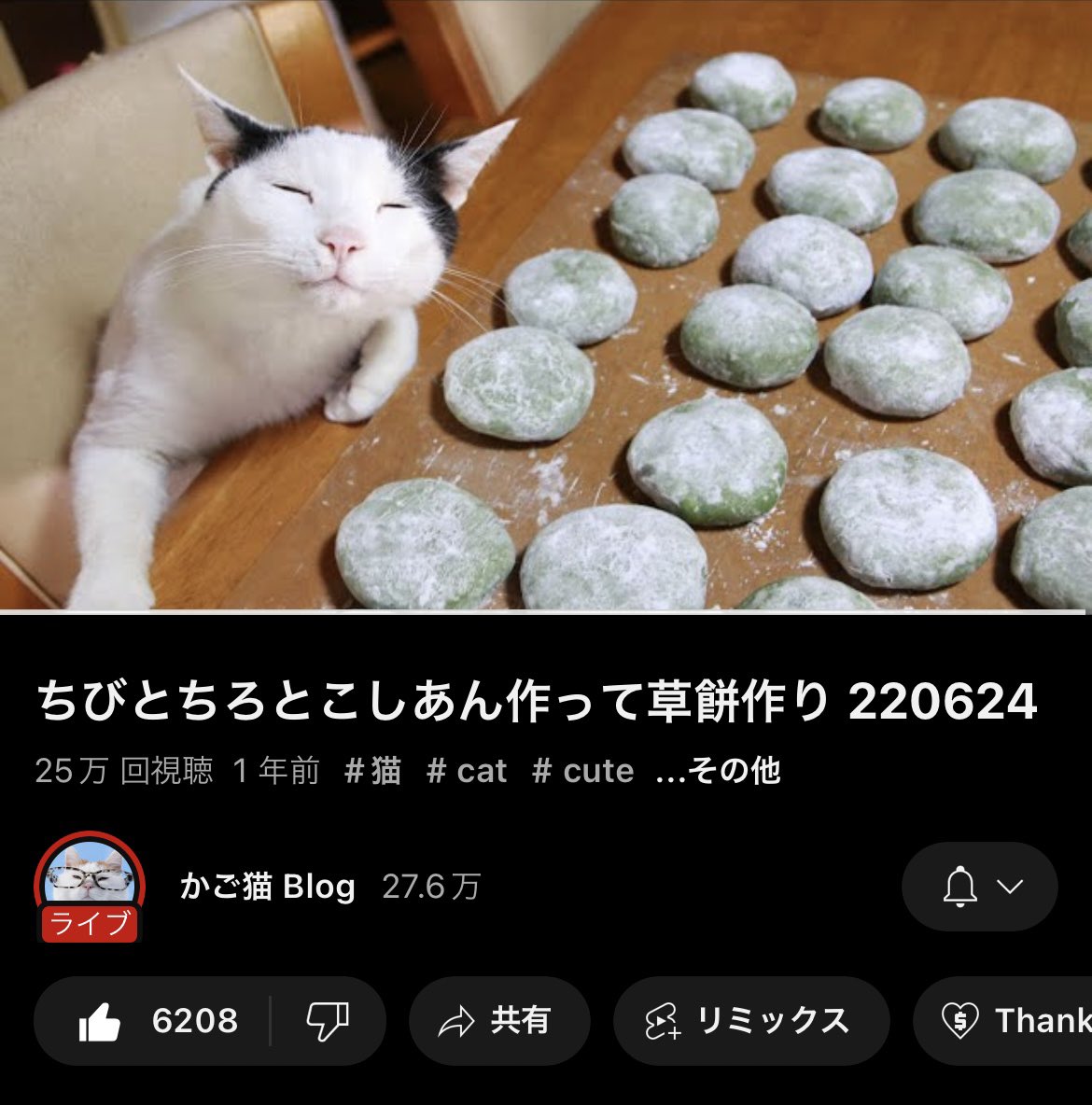 mouiik's tweet photo. この動画、癒しがすごい…ねこたち可愛いし、めちゃくちゃ幸せな気持ちになる　皆に見てほしい😭
https://t.co/a2j89gvpNL https://t.co/AeTLAStEuv