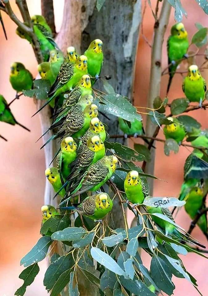 𝔦∂ΙЄGO (@drc_19) on Twitter photo 