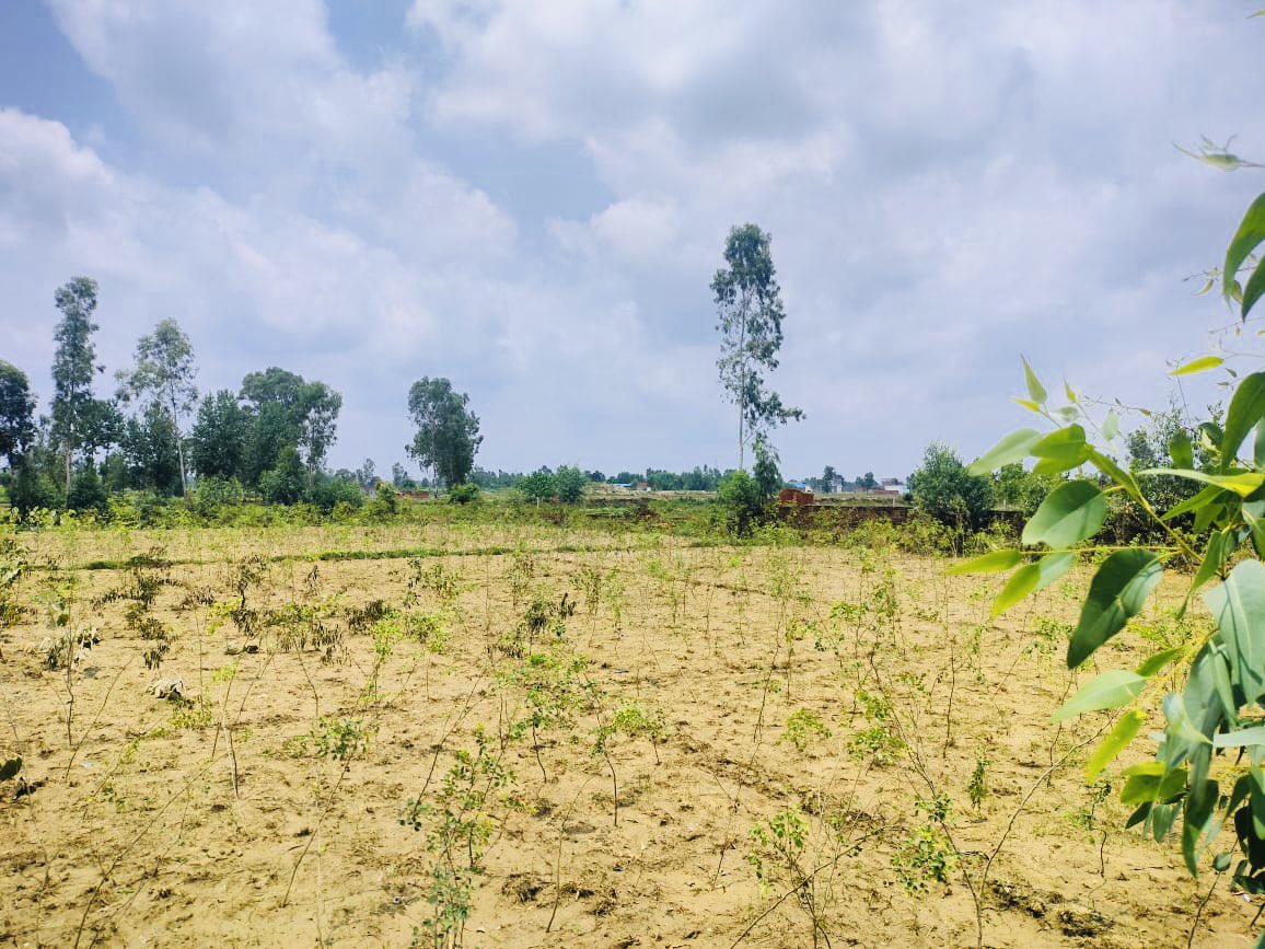 Saharanpur Development Authority tweet media