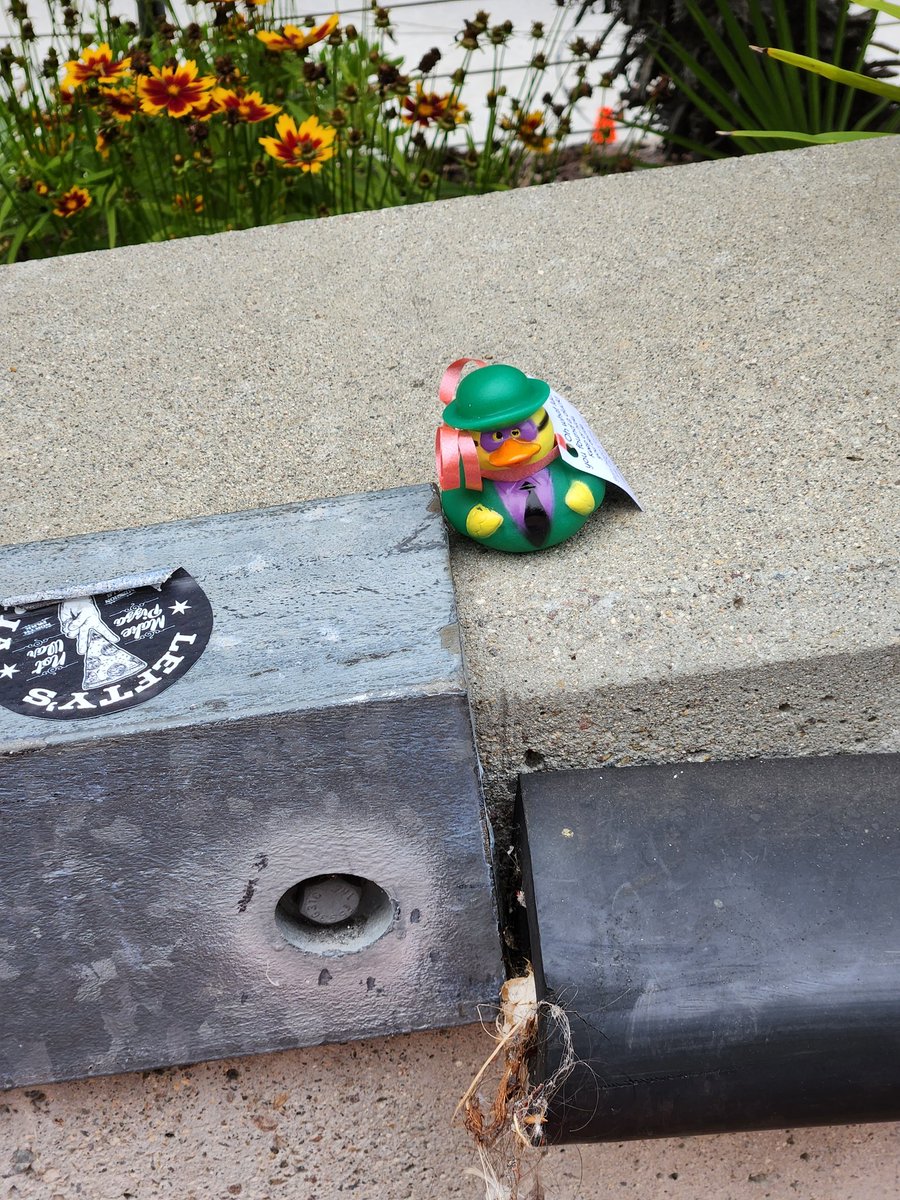 Please find me and let us know where his new home will be.  #SDCC #sdccducks