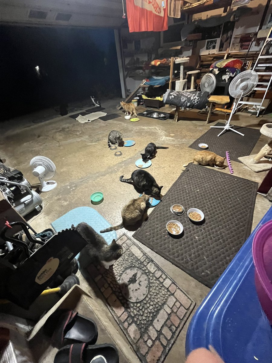 craig mehr tweet media