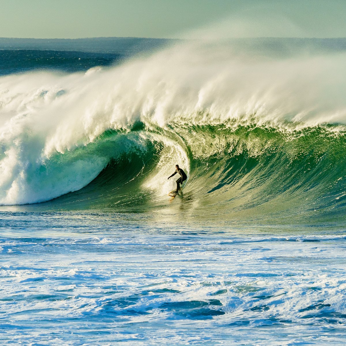 Surfrider Foundation tweet media