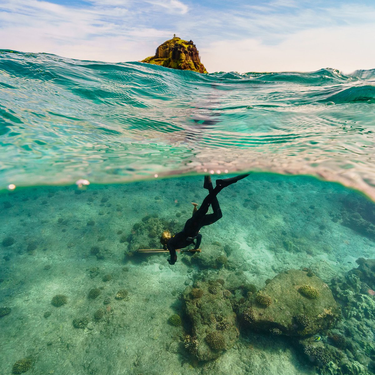 Surfrider Foundation tweet media