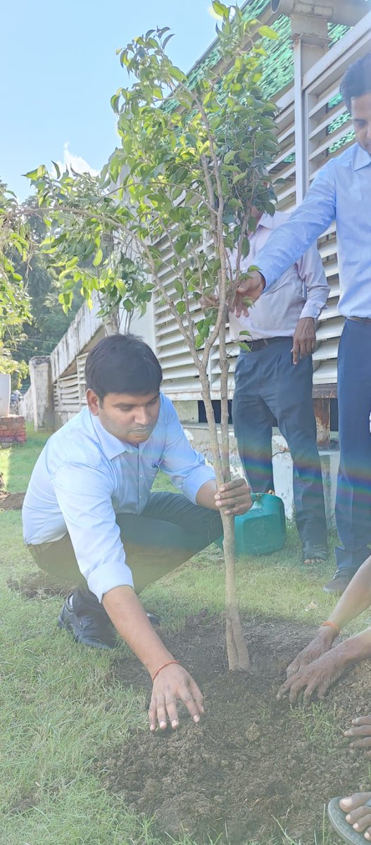 Special mega afforestation drive