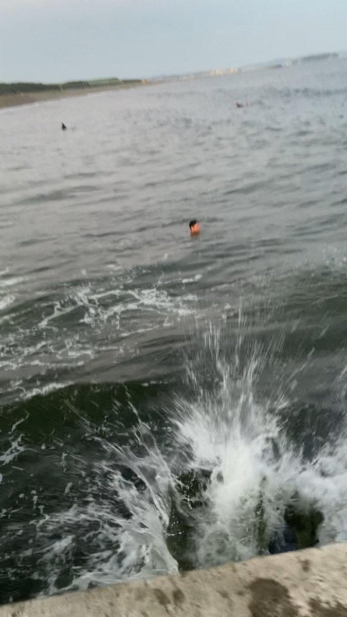 ニファエル🍏(ラファエル公認影武者) tweet media