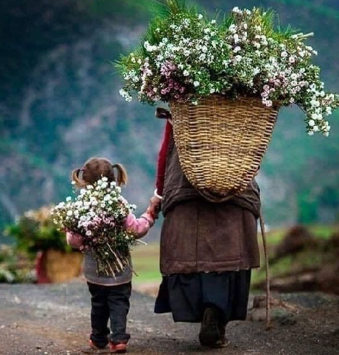 SiyahIk4's tweet photo. Sonsuza kadar çiçek açar,
annesi bahar olan çocuklar... https://t.co/caeYC41DO6