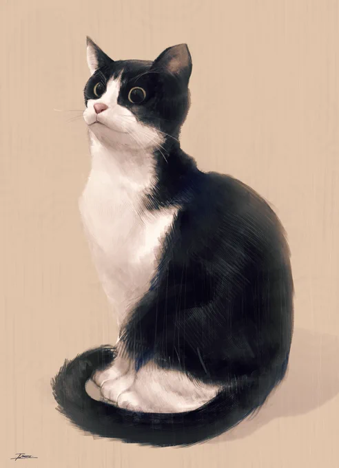 今日は友達の誕生日なので、プレゼントに描を猫きました。
