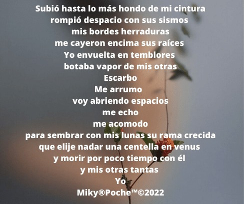 mikypoche's tweet photo. https://t.co/tyDWpdfNCv