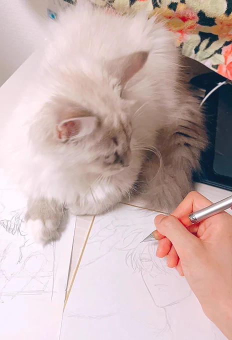 お絵描きもしっかり邪魔する