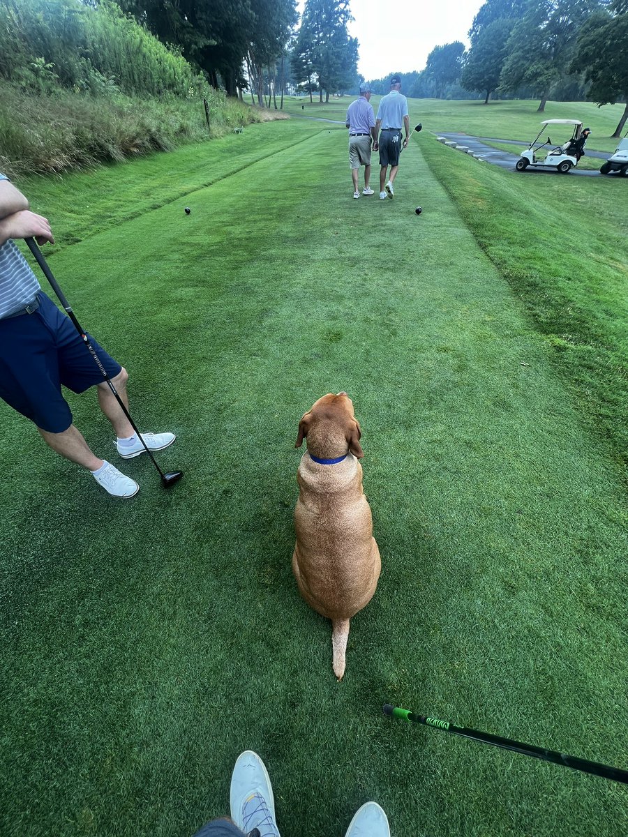 Patrick Koenig tweet media