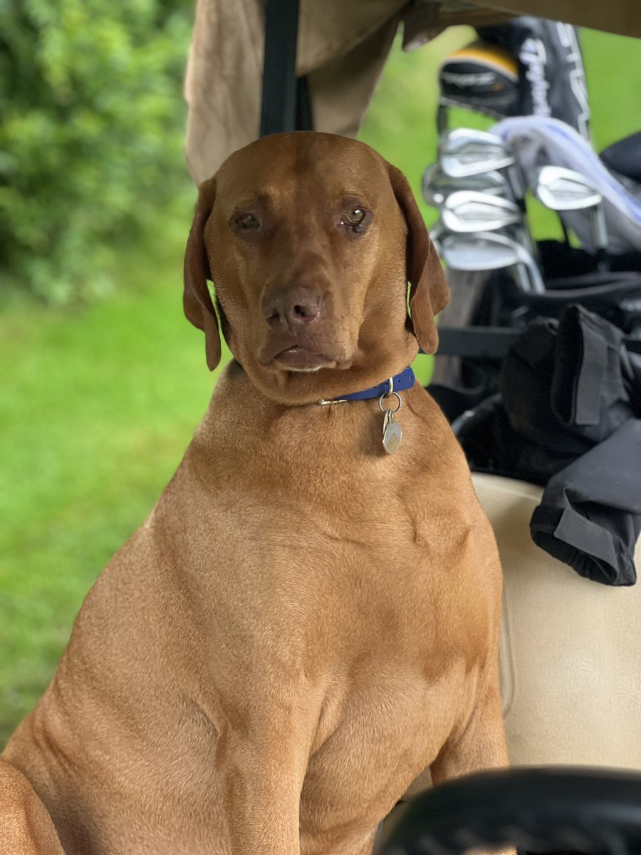 Patrick Koenig tweet media