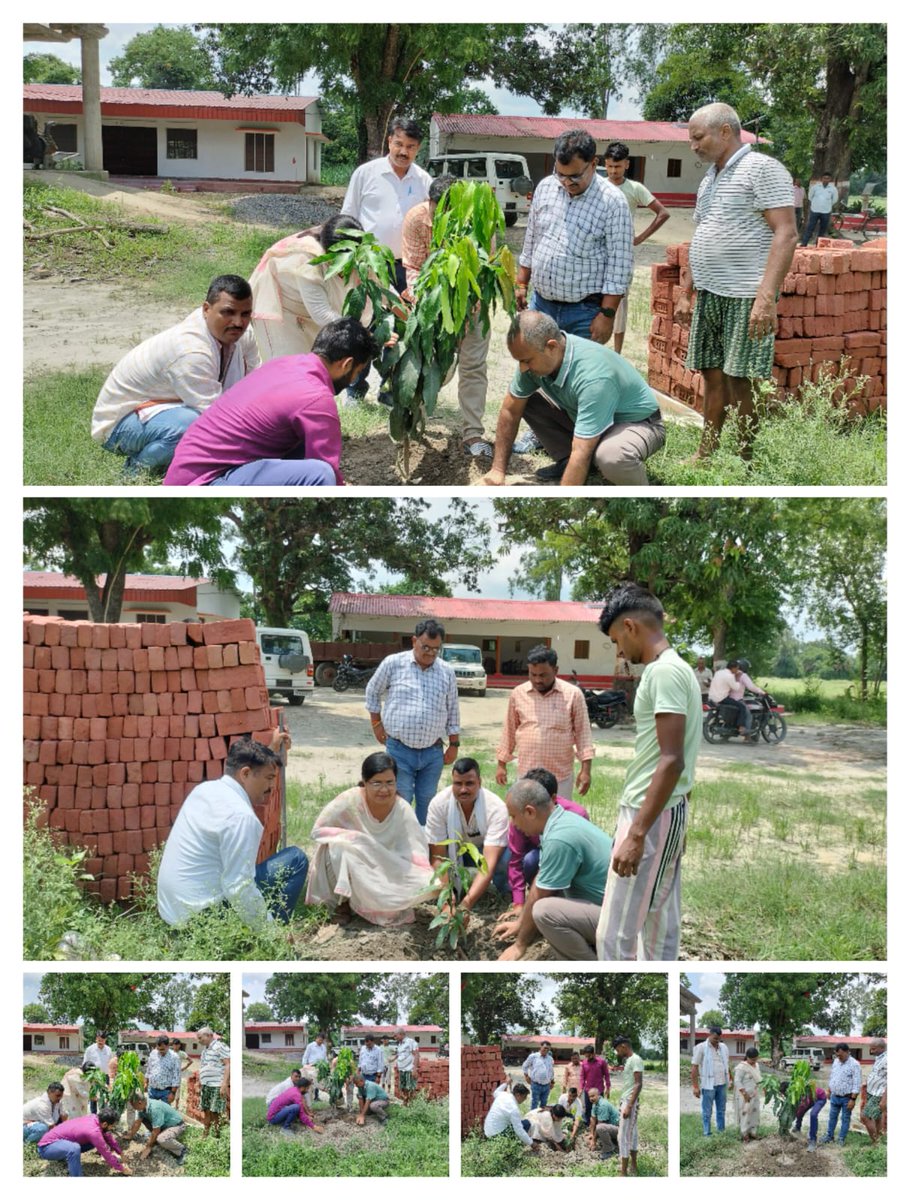 Dy c c gorakhpur  mis. Usha pal mem