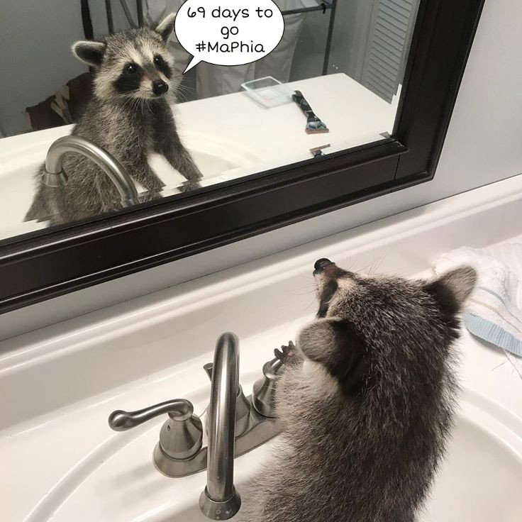 m_e_stanley's tweet image. LET&apos;S GOOOOO

#MaPhia
#WarriorNunSaved
#WarriorNun